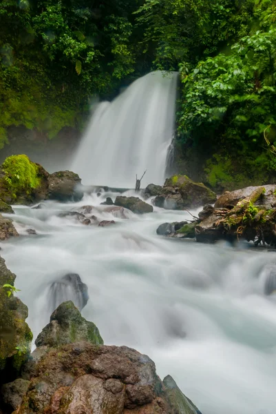 Wodospad w Costa Rica dżungli — Zdjęcie stockowe