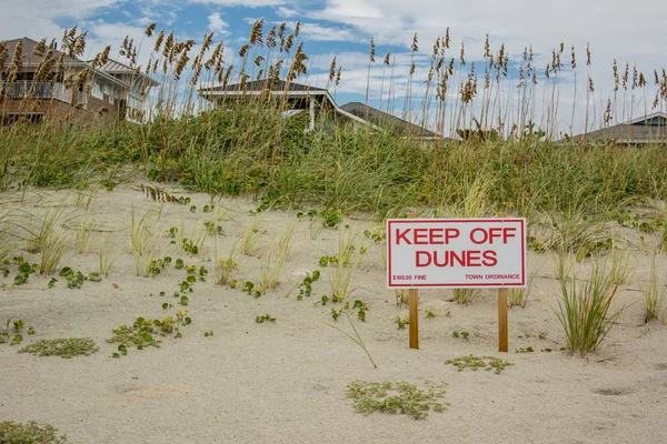 Signe Kepp Off Dunes — Photo