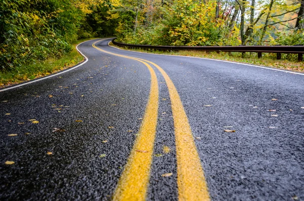 Camino mojado en las montañas en otoño — Foto de Stock