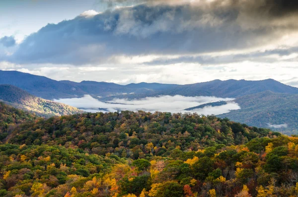 Brouillard sous les arbres en automne — Photo