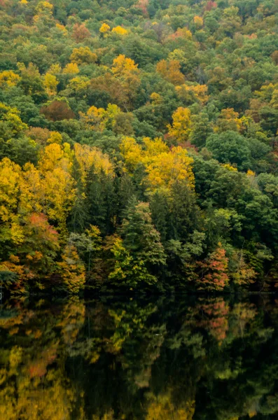 Reflejo de Hojas de Otoño en Lago Calma —  Fotos de Stock