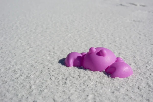 Purple Crab Sand Toy — Stock Photo, Image