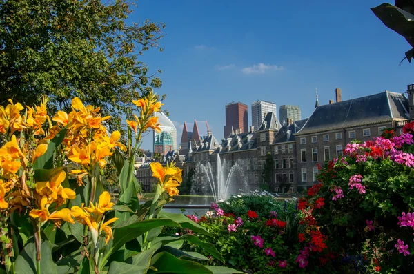Flowers in front of government buildings in the Hague — Stock Photo, Image