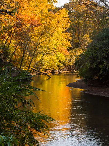 River Bends in Autumn — Stock Photo, Image