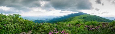 Yuvarlak Jane'den kel kel Panoraması