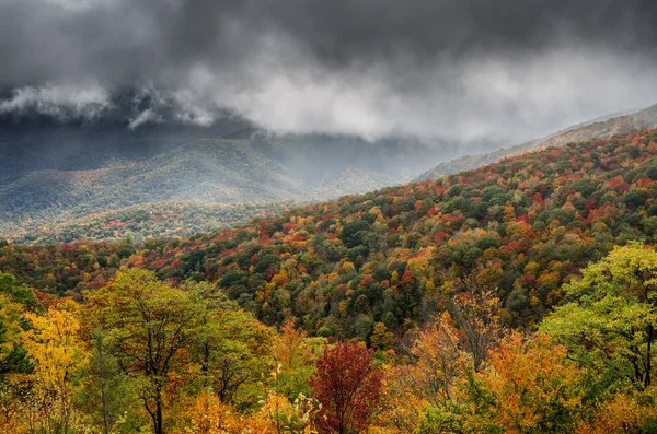 森林持久性有机污染物的红色和橙色在秋天 — 图库照片