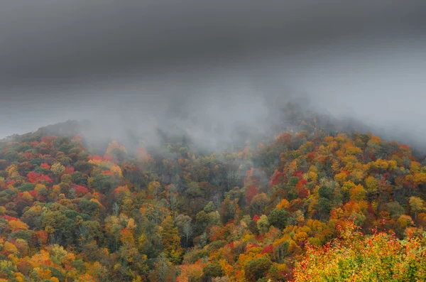 Bosque colorido de otoño en otoño — Foto de Stock