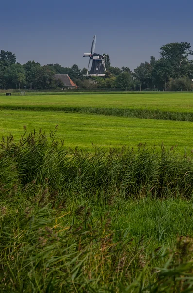 Molino de viento detrás de Farmland Vertical Detrás de Farmland Vertical — Foto de Stock