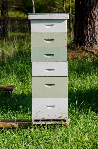 Stacked Beekeeping Boxes — Stock Photo, Image