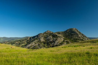 Yellowstone 'da Yuvarlanan Tepeler ve Kükreyen Dağ Derin Mavi Gök Altında