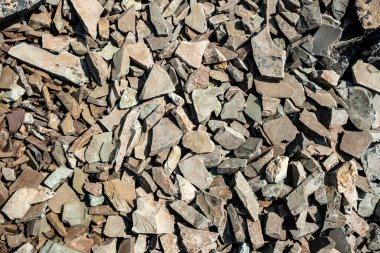 Buzul Ulusal Parkı 'nda sıkışık bir patika.