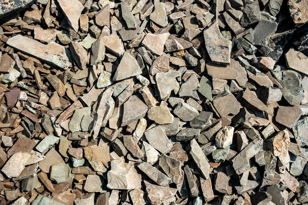 Buzul Ulusal Parkı 'nda sıkışık bir patika.