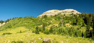 Geyik Dağı Grand Teton Ulusal Parkı 'ndaki Moose Creek boyunca vadiden yükseliyor.