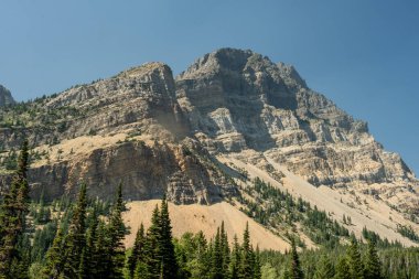 Buzul Ulusal Parkı 'ndaki Ayı Dağı' nın Çıplak Kayalıkları