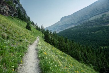 Buzul Ulusal Parkı 'ndaki Ptarmigan Patikası Tüneli boyunca Büyük Duvarlar ve Derin Kanyon