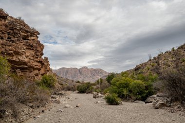 Wide Wash yavaşça tırmanıyor tepelere doğru Chisos Dağlarına doğru Big Bend Ulusal Parkı 'nda