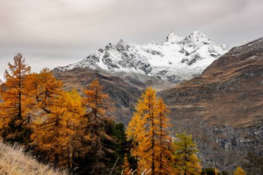 Zermatt yakınlarındaki İsviçre Alplerindeki Taze Kar Dağlarını Kaplıyor
