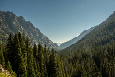 Grand Teton Ulusal Parkı 'ndaki Moose Havzası Bölümü' nden Webb Kanyonuna Bakıyoruz