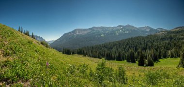 Ranger Peak, Kuzey Grand Teton Ulusal Parkı 'ndaki Webb Kanyonu üzerinde yükseliyor.