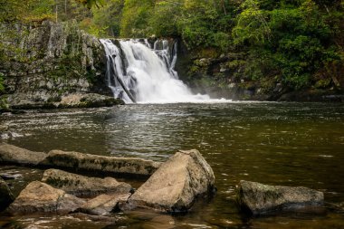 Büyük Smoky Dağları Ulusal Parkı 'nda Abrams Falls' un aşağısındaki Rocky Pool