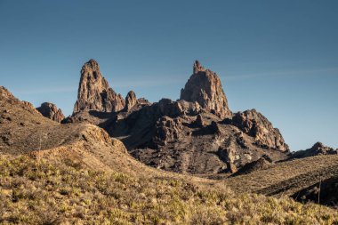 Katır Kulakları Big Bend Ulusal Parkı 'nın altındaki çöl katından yükseliyor.