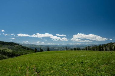 Yellowstone Ulusal Parkı 'nın arkasındaki Buffalo Platosu boyunca yuvarlanan HIlls