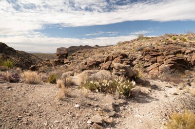 Yukarı Burro Pouroff 'un Rocky Kanyonu' na doğru pürüzsüz bir patika düşüyor.