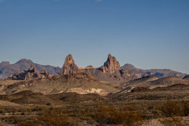 Büyük Viraj Ulusal Parkı 'nda katır kulakları gökyüzüne yapışıyor.