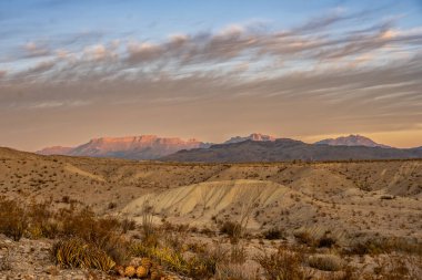 Chisos Dağları Big Bend Ulusal Parkı 'ndaki Chihuahuan Çölü' nde Sabah Işığını Yakalıyor