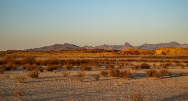 Big Bend Ulusal Parkı 'ndaki Chisos Dağları' nın Ilık Sabah Işığıyla Uzaktan Görünüşü