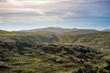 Santa Rosa Adası 'ndaki dağlara kadar uzanan kıvrımlı tepeler.
