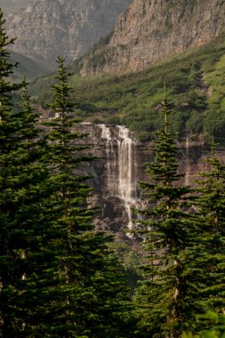 Buzul Ulusal Parkı 'nda Çam Ağaçları Sabah Kartalı Geçidi