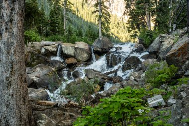 Geyik Deresi 'nin akan suyu Grand Teton Ulusal Parkı' ndaki kaya duvarlarını delip geçti.