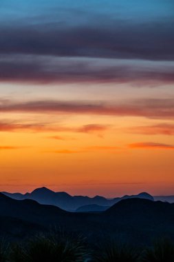 Sotol Bitkileri ve Karanlık Dağlar Büyük Viraj Milli Parkı 'nda gün batımında karanlığa gömülür.
