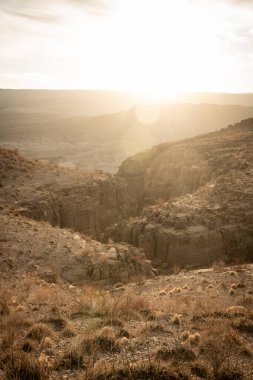 Parlak Güneş, Big Bend Ulusal Parkı 'ndaki Ufuk' u gizliyor.