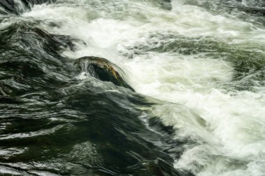 Smokies 'deki Hazel Creek' te Rapids 'i kapatın.