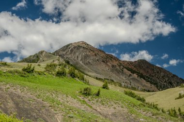 Yellowstone Ulusal Parkı 'ndaki Çimenli Vadi' de Elektrik Zirvesi Yükseliyor