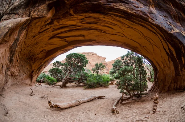 Genévrier à travers l'arche Navajo — Photo