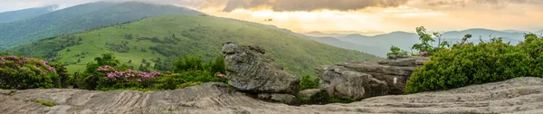 Panorama av Jane skallig Sunset — Stockfoto