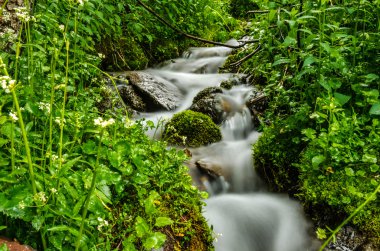 Colorado dağlarında Creek uzun pozlama