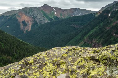 Kaya Colorado dağların üzerinde liken