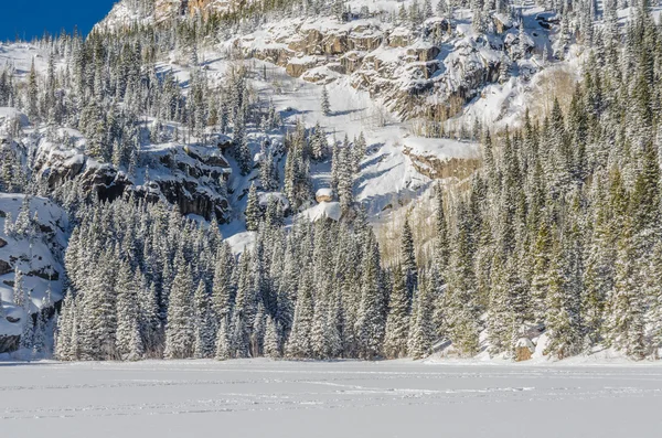 Snow Across Lake and Pine Trees em Colorado Wilderness — Fotografia de Stock