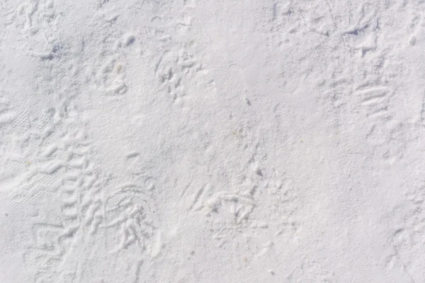 Footprints in Packed Snow