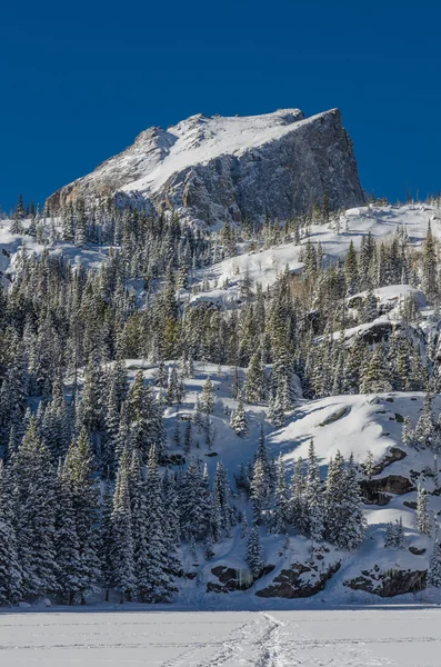 Montanha coberta de neve no Colorado Wilderness — Fotografia de Stock