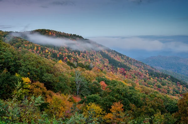 Stripig moln av Fall blad i North Carolina — Stockfoto