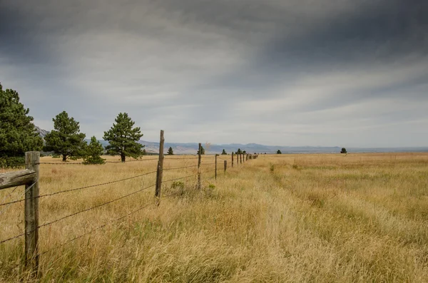 Старая ограда из колючей проволоки на сухом поле — стоковое фото