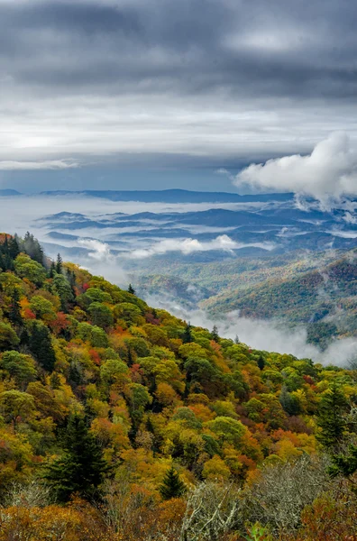 Nubes de la mañana colgando bajo sobre el Blueridge Parkway — Foto de Stock