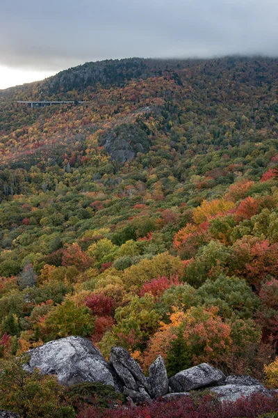 Viaducto de Linn Cove en Otoño Vertical — Foto de Stock