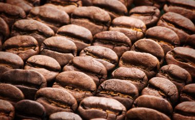 kahve çekirdekleri arkaplan dokusu