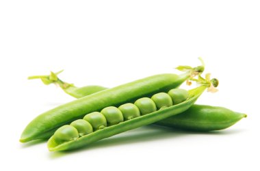 Beyaz arkaplanda taze yeşil bezelyeler.